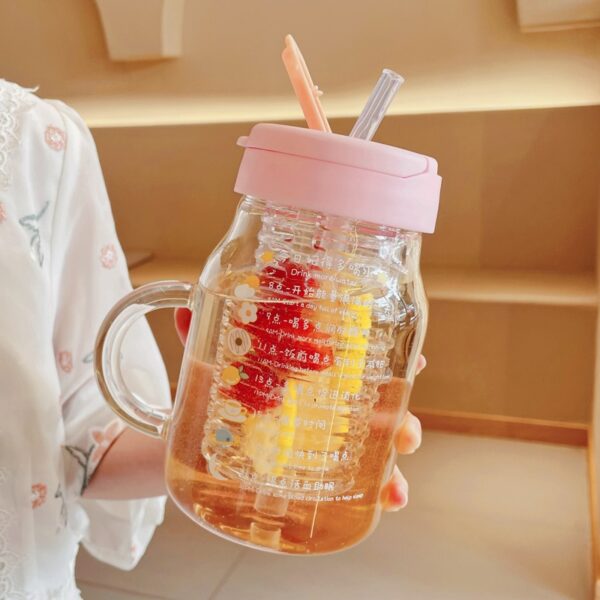 Glass Water Bottle With Fruit Infuser - 850/550ml Portable Drinking Bottle with Tea Infuser Filter - Image 3