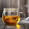 Infuser Mug Transparent Glass Tea Cups with Lids, Heat-Resistant Borosilicate Glass for Flower Tea, Coffee, and Milk in Office