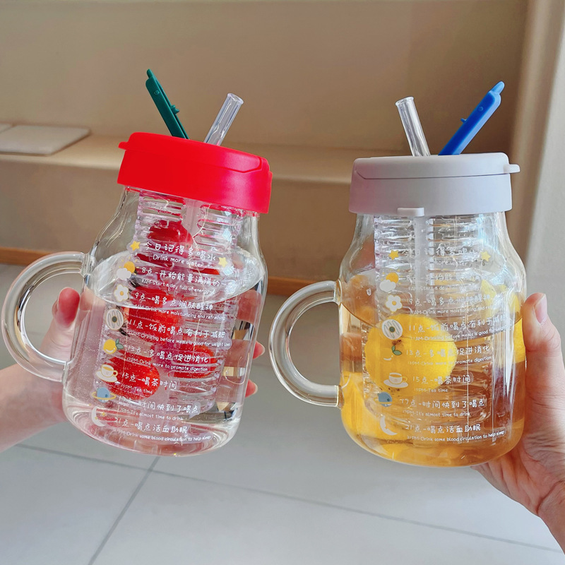 Glass Water Bottle With Fruit Infuser - 850/550ml Portable Drinking Bottle with Tea Infuser Filter