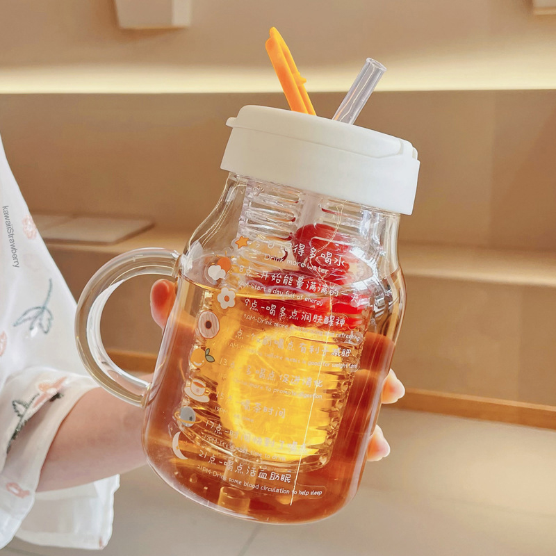 Glass Water Bottle With Fruit Infuser - 850/550ml Portable Drinking Bottle with Tea Infuser Filter
