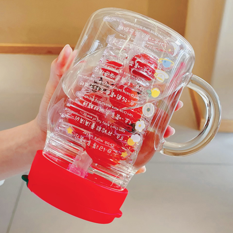 Glass Water Bottle With Fruit Infuser - 850/550ml Portable Drinking Bottle with Tea Infuser Filter