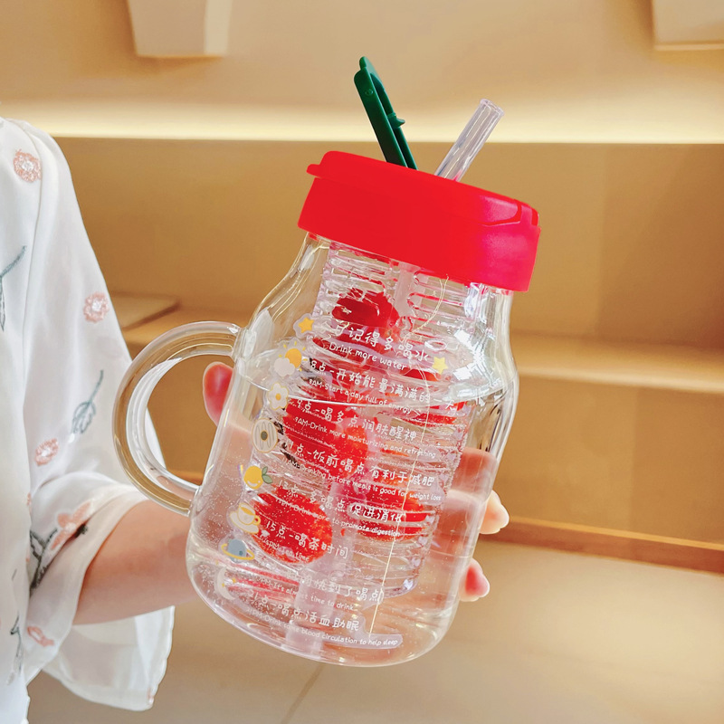 Glass Water Bottle With Fruit Infuser - 850/550ml Portable Drinking Bottle with Tea Infuser Filter