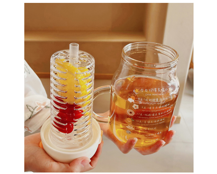 Glass Water Bottle With Fruit Infuser - 850/550ml Portable Drinking Bottle with Tea Infuser Filter